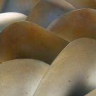 Curves in Abstract