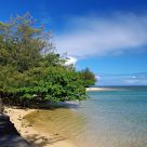 The Shore of Kauia