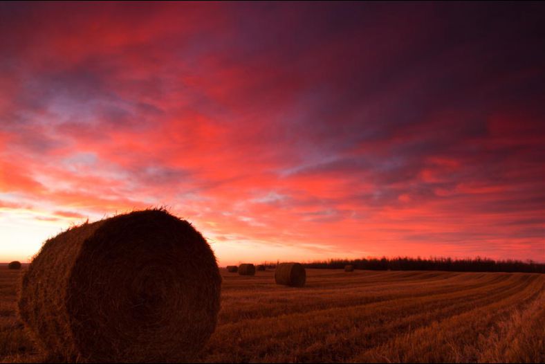 Prairie Sunrise