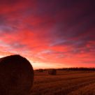 Prairie Sunrise