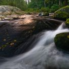 Soft Flow