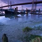 Low Tide