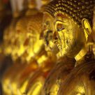 Gilded Buddhas