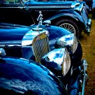 Triumph Roadster and her sisters