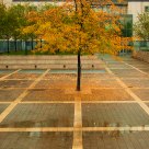 City autumn