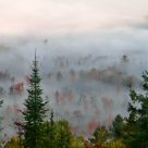 Eagles Nest
