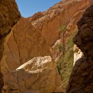 Oasis de Montagne