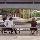 Bangkok bench