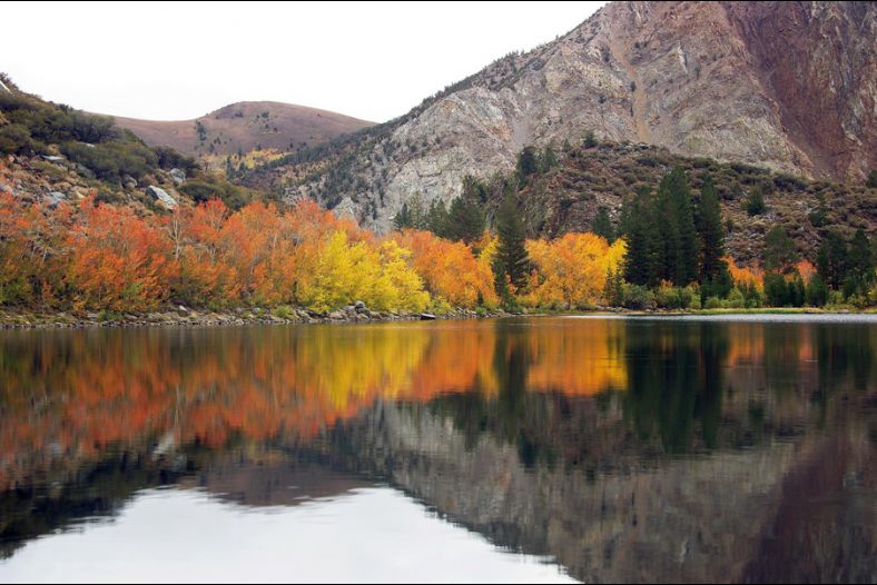 Color Reflections On The Lake