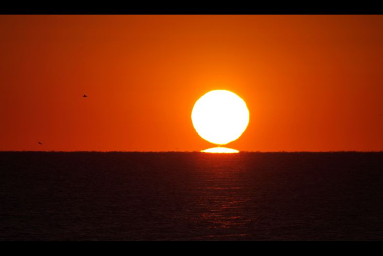 Sun Plus One?