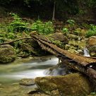 Sampalok River