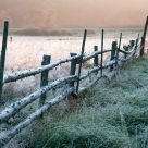 Dawn of the Bialowieza meadows
