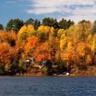 Pigeon Lake Fall Colours 2010