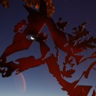 Cheval de lune, Horse Moon