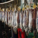 Fish Drying