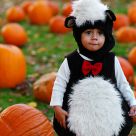 Pumpkin Patch Stinkpot