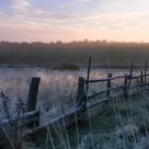 Dawn of the Bialowieza meadows