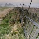 Dawn of the Bialowieza meadows