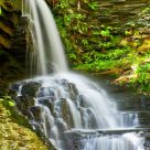 Bridemaid's Fall
