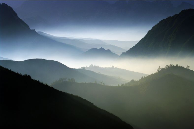 Misty Morning