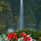 Sunken Garden