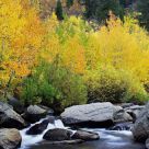 Sierra Colors In Autumn