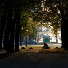 At The End Of The Tree Tunnel