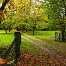 Fall Fence