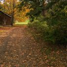 Fall Cabin