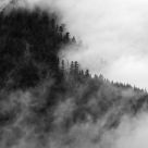 Through the Mist