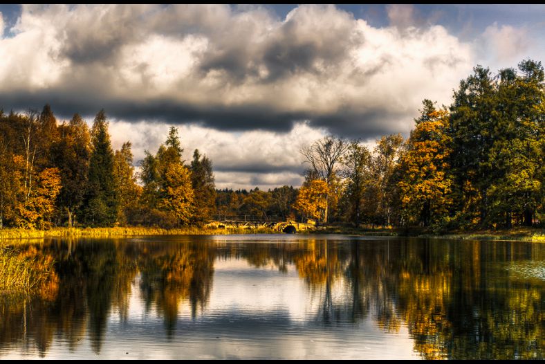 Golden day