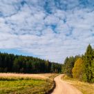 Rural road