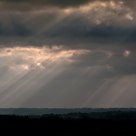 Rays Of Light