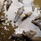 Feeding time