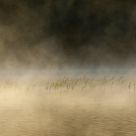 Man in Mist