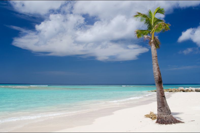 barbados sands