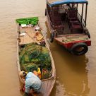 Someone to fish, and someone to haul tourists