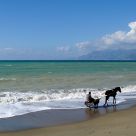 Coast in autumn - Litoranea d'autunno