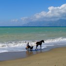 Coast in autumn - Litoranea d'autunno