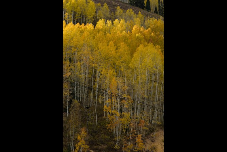 Powder Mountain