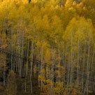 Powder Mountain