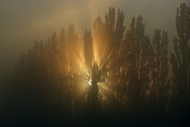 Sunrise In The Fog