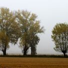 Autumn in Pavia's Countryside