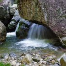 Spring among rocks