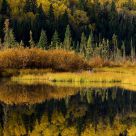 Autumn Reflection