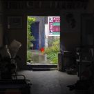The entrance of the house of an old chinese painter
