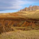 The hill slope