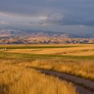 Montana Autumn Evening