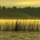 Dawn at lakeside