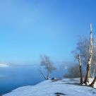 Morning mist